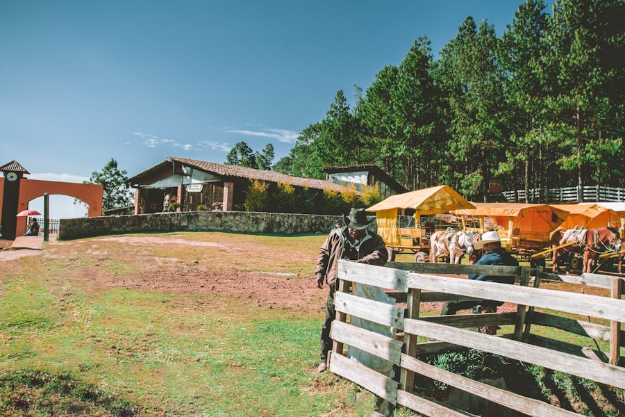 Photo Caboolture Property Market