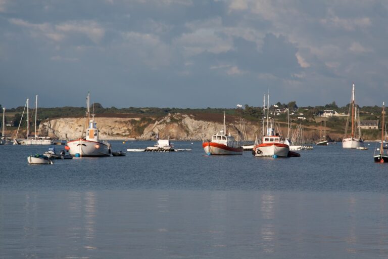 Image 32