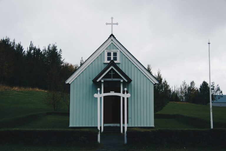 Image 61