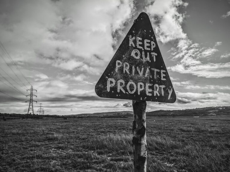 Image 82